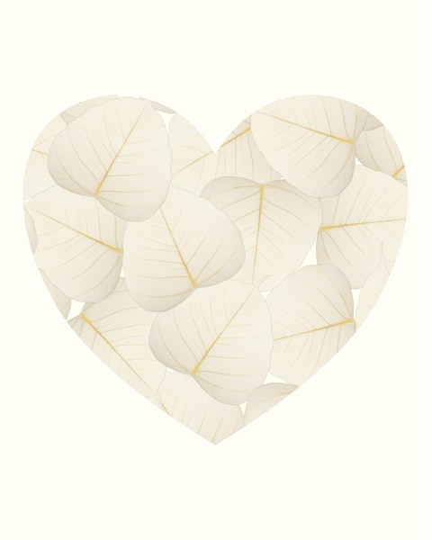 Cool Price Skeleton Natural Ficus Religiosa Leaves Artificial Leaves Craft Card Scrapbook DIY Handmade Embellishment Decoration Art