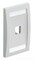 Panduit CFPE1WHY 1Gang 1Port Faceplate White