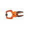 Pony 32225 2Inch Hand Clamp