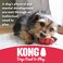 KONG Puppy Binkie  Pacifier Dog Toy for Puppies  Stuffable Chew Toy for Puppy Playtime  Durable Natural Rubber Dog Treat Toy for Teething Puppy  for Medium Puppies  Blue