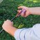 Rain Bird FT50S Drip Irrigation Barbed Fitting Insertion Tool for 12 Drip Tubing