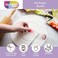Talisman Designs Pie Pastry Guide  Perfectly Round Pie Crust Every Time  Cut Circles from 4 to 14 inches in Diameter  Pie Cutting Guide  Pie Dough Puff Pastry Fondant  More