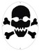 Tourna Fun Skull  Crossbones Racquet Stencil