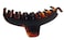 Parcelona French Boss Thin and Narrow Medium Tortoise Shell Covered Spring Jaw Hair Claw Clip Clutcher Clamp