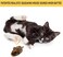 OurPets PlayNSqueak Mouse Hunter Cat Toy Interactive Cat Toy  Catnip Toy with Real Mouse Electronic Sound Perfect Toys for Indoor Cats with Catnip