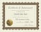 Great Papers Certificate of Achievement PrePrinted Gold Foil Embossed 85 x 11 6 Count 930100