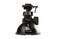 Transcend Suction Mount for DrivePro Car Video Recorder TSDPM1