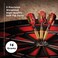 Viper by GLD Products Super Bee Soft Tip Darts Brass 16 Grams