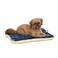 MidWest Homes for Pets Reversible Paw Print Pet Bed in Blue  Cream Dog Bed Measures 235L x 17W x 28H for Small Dogs Machine Wash