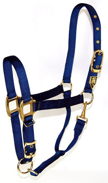 Hamilton 1Inch Nylon Halter with Adjustable Chin Navy Blue  Average Size