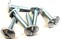 Siemens ECTS2 Cover Screws for Siemens or Murray Load Centers