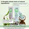 Noughty 97 Natural Get Set Grow Hair Thickening Conditioner Green Robusta Coffee Beans and Piroctone Olamine to Optimise Scalp Health Stimulate Roots and Promote Hair Growth 250ml