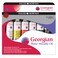 Daler Rowney Georgian 6Tube Starter Water Mixable Oil Paint Set  Art Paints for Canvas Paper and More  Oil Painting Supplies for Artists and Students  Artist Oil Paint for Any Skill Set