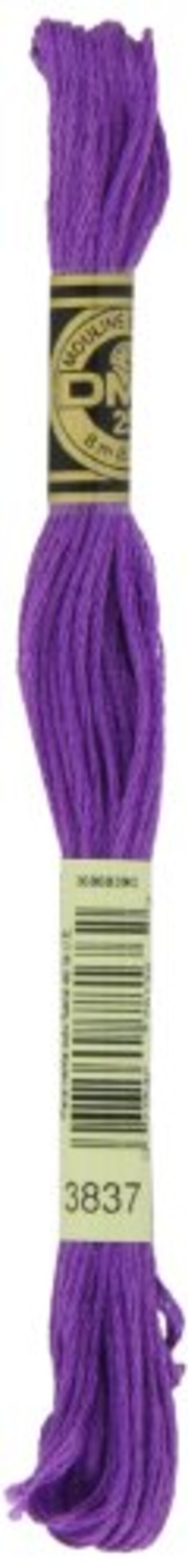 12 Pack DMC 6-Strand Embroidery Cotton 8.7yd-Dark Cocoa