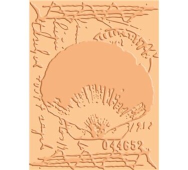 Provo Craft Cuttlebug A2 Embossing FolderShell Collage