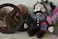 Karl Marx Doll  11 Soft Stuffed Plush Little Thinker  Toy for Kids or Adults