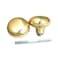 Belwith Products 1135 Brass Knob SetSpindle