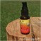 Vikas Essentials Earthly Elixir