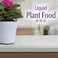 Bonide Houseplant Liquid Plant Food 101010 8 oz Concentrated Fertilizer for Indoors Use Every Time You Water