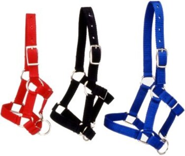 Tough 1 Tough1 Miniature Nylon Halter Red Large Mini