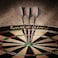 Viper by GLD Products unisex adult 22 Grams v wing dart flights Silver gram US