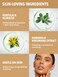 SHEGLAM 12HR Full Coverage Concealer Matte Finish Concealer Stick for Under Eye and Dark Circles  Earth