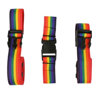 Skillbuilders 3 Piece Replacement Harness Set for Medium Full Support Swing Rainbow Strap Accessories