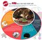 SPOT Stringy Mice  Balls  Catnip Cat Toys Interactive Colorful Plush Toys Fun for Cats and Kittens to Bat and Chase Boredom Buster  2 Mice 2 Balls