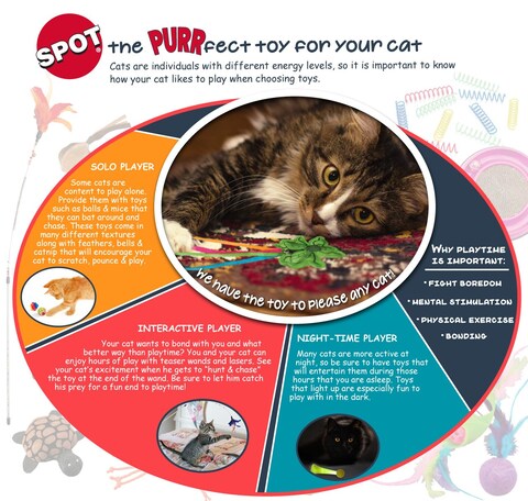 SPOT Stringy Mice  Balls  Catnip Cat Toys Interactive Colorful Plush Toys Fun for Cats and Kittens to Bat and Chase Boredom Buster  2 Mice 2 Balls