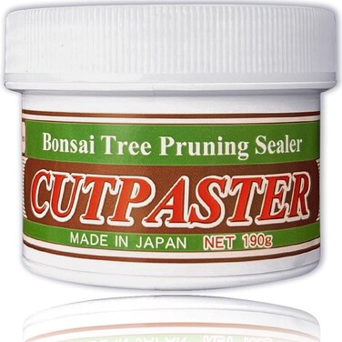 CUTPASTER Bonsai Cut Paste Tool 190g Gray