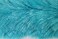 CleanAide Eurow Electrostatic Duster with 3 Sections Extension Pole