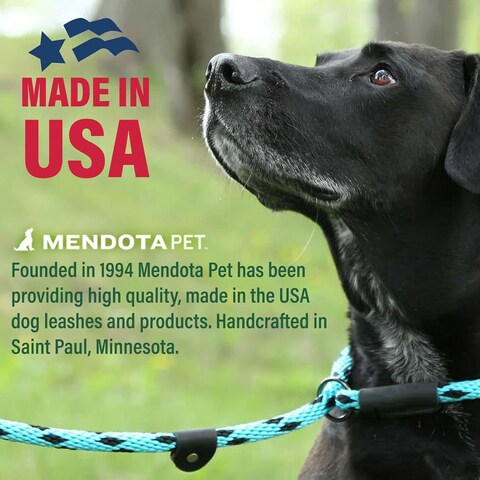 Mendota Pet Slip Leash  Dog Lead and Collar Combo  Made in The USA  Hi Viz Yellow 12 in x 6 ft  for Large Breeds
