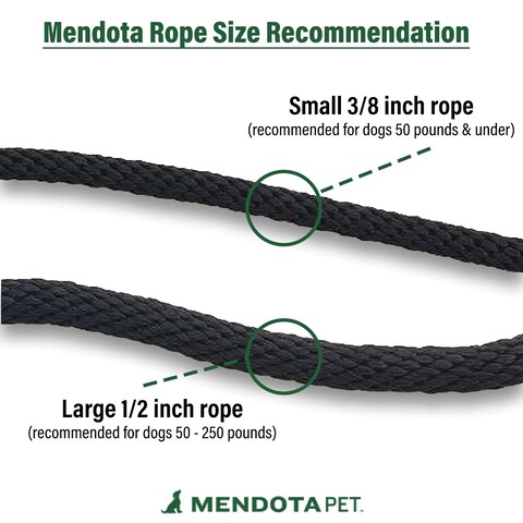 Mendota Pet Slip Leash  Dog Lead and Collar Combo  Made in The USA  Hi Viz Yellow 12 in x 6 ft  for Large Breeds