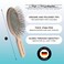 Chris Christensen Dog Brush 27 mm Oval Pin Brush Original Series Groom Like a Professional Stainless Steel Pins Lightweight Beech Wood Body Ground and Polished Tips
