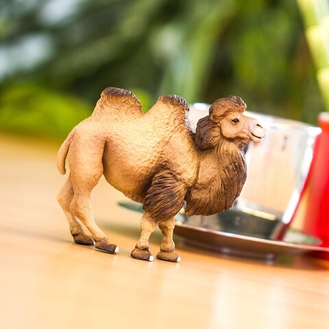Safari Ltd Bactrian Camel Figurine  Realistic 425 Wildlife Figure  Educational Toy for Boys Girls and Kids Ages 3