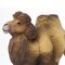 Safari Ltd Bactrian Camel Figurine  Realistic 425 Wildlife Figure  Educational Toy for Boys Girls and Kids Ages 3