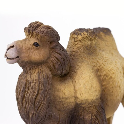 Safari Ltd Bactrian Camel Figurine  Realistic 425 Wildlife Figure  Educational Toy for Boys Girls and Kids Ages 3