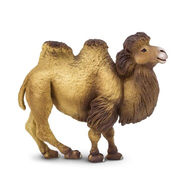 Safari Ltd Bactrian Camel Figurine  Realistic 425 Wildlife Figure  Educational Toy for Boys Girls and Kids Ages 3