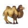 Safari Ltd Bactrian Camel Figurine  Realistic 425 Wildlife Figure  Educational Toy for Boys Girls and Kids Ages 3