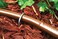 Rain Bird GS5010PS Drip Irrigation 6 Galvanized Wire Stake for 12 Tubing 10Pack  Packaging May Vary