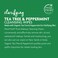 Petal Fresh Clarifying Tea Tree  Peppermint Makeup Removing Cleansing Towelettes Gentle Face Wipes Daily Cleansing Vegan and Cruelty Free 60 count