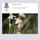 REN Clean Skincare Bio Retinoid Youth Serum Vegan PlantDerived Healthy Aging Serum Clinically Proven to Reduce Fine Lines and Wrinkles After 7 Days Suitable for Sensitive Skin