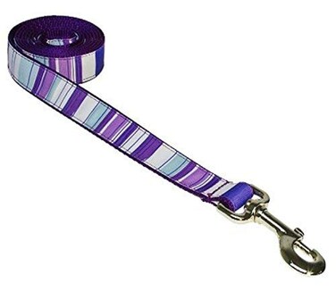 Medium PurpleMulti Stripe Dog Leash 34 Wide 6ft Length  Made in USA