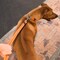 Rogz Utility Extra Large 1Inch Reflective Lumberjack Obedience HalfCheck Dog Collar Orange
