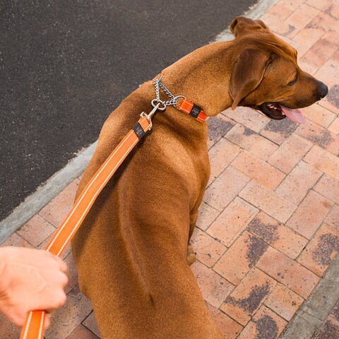Rogz Utility Extra Large 1Inch Reflective Lumberjack Obedience HalfCheck Dog Collar Orange