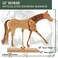 US Art Supply Wooden 12 Horse Artist Drawing Manikin Articulated Mannequin