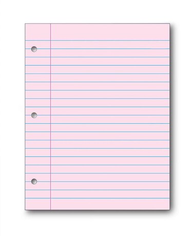 School Smart 3Hole Punched Filler Paper 812 x 11 Inches Pink 100 Sheets  087155