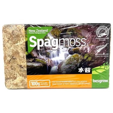 besgrow Premium New Zealand Sphagnum Moss 100g 8L When Hydrated  Harvested Sustainably from The Pristine West Coast of New Zealands South Island