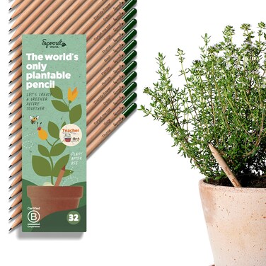 SproutWorld WoodCased Pencils  Teachers Edition  HB PreSharpened Graphite Plantable Wooden Pencils with flower Herb  Vegetable Seeds  Gift for Teachers Creative Kids  Students  32 Pack