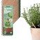 SproutWorld WoodCased Pencils  Teachers Edition  HB PreSharpened Graphite Plantable Wooden Pencils with flower Herb  Vegetable Seeds  Gift for Teachers Creative Kids  Students  32 Pack
